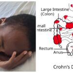 befunky_2026-0-5_5-18-14