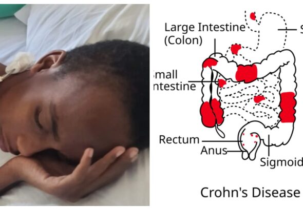 befunky_2026-0-5_5-18-14