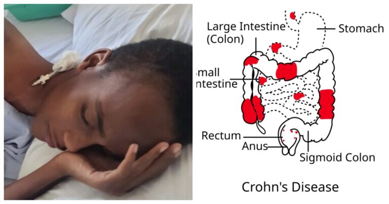 befunky_2026-0-5_5-18-14