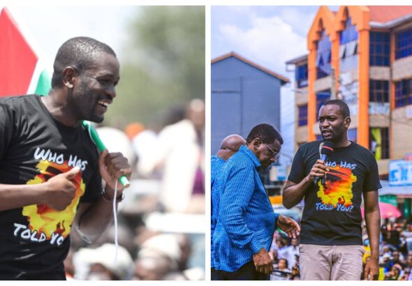 befunky_2026-1-0_8-48-36