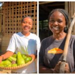 befunky_2026-1-2_21-5-0