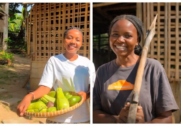 befunky_2026-1-2_21-5-0