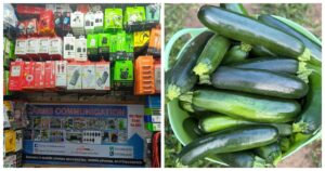 9 Profitable Businesses to Launch in Kenya with Just KSh 10,000